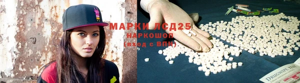 стаф Бугульма