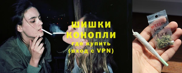 МДПВ Бронницы