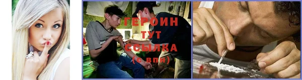 стаф Бородино