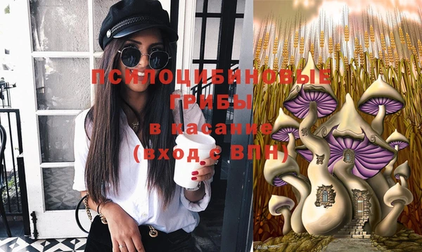 стаф Бородино