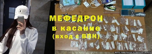 стаф Бородино