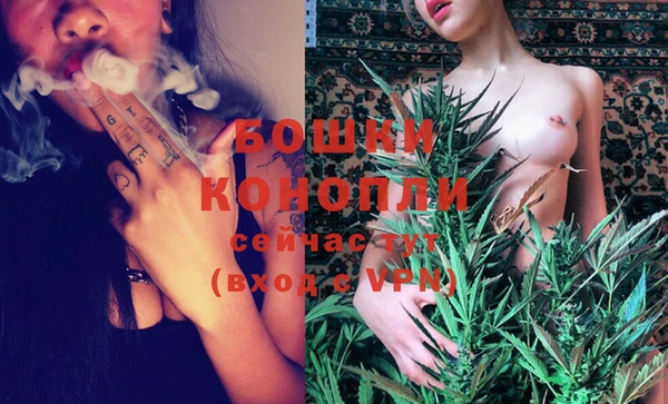 стаф Бородино