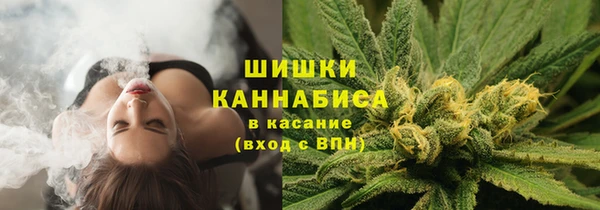 ПСИЛОЦИБИНОВЫЕ ГРИБЫ Ахтубинск