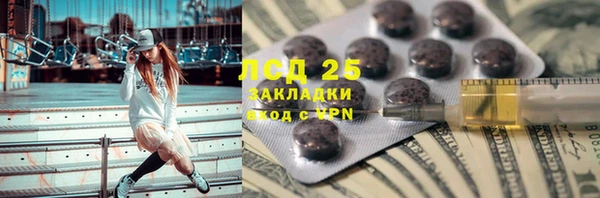стаф Бородино