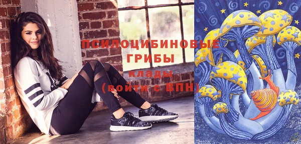 МДПВ Бронницы