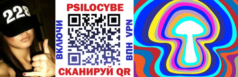 Псилоцибиновые грибы Psilocybine cubensis  Ветлуга 